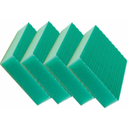 Éponge Verte Color Clean (x4)