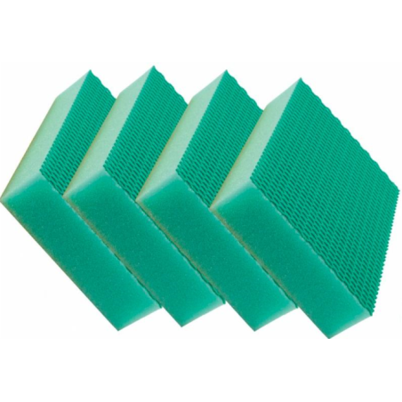 Éponge Verte Color Clean (x4)