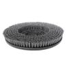 Brosse Tynex GL Pro 