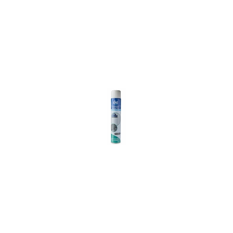 Shampooing moquette King 750ml