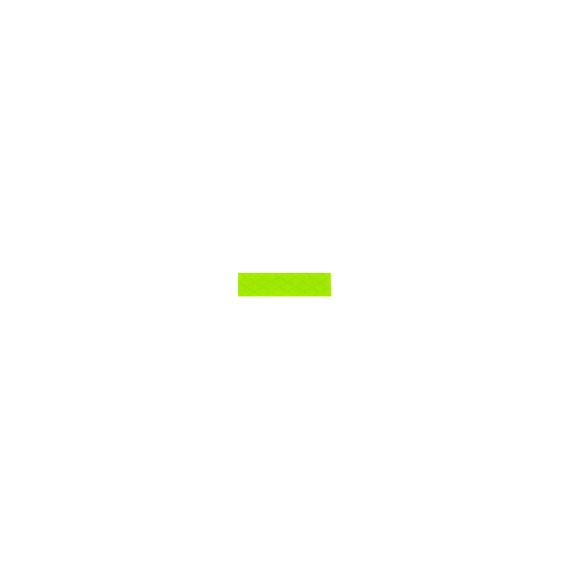 Bandeaux évolution vert x30